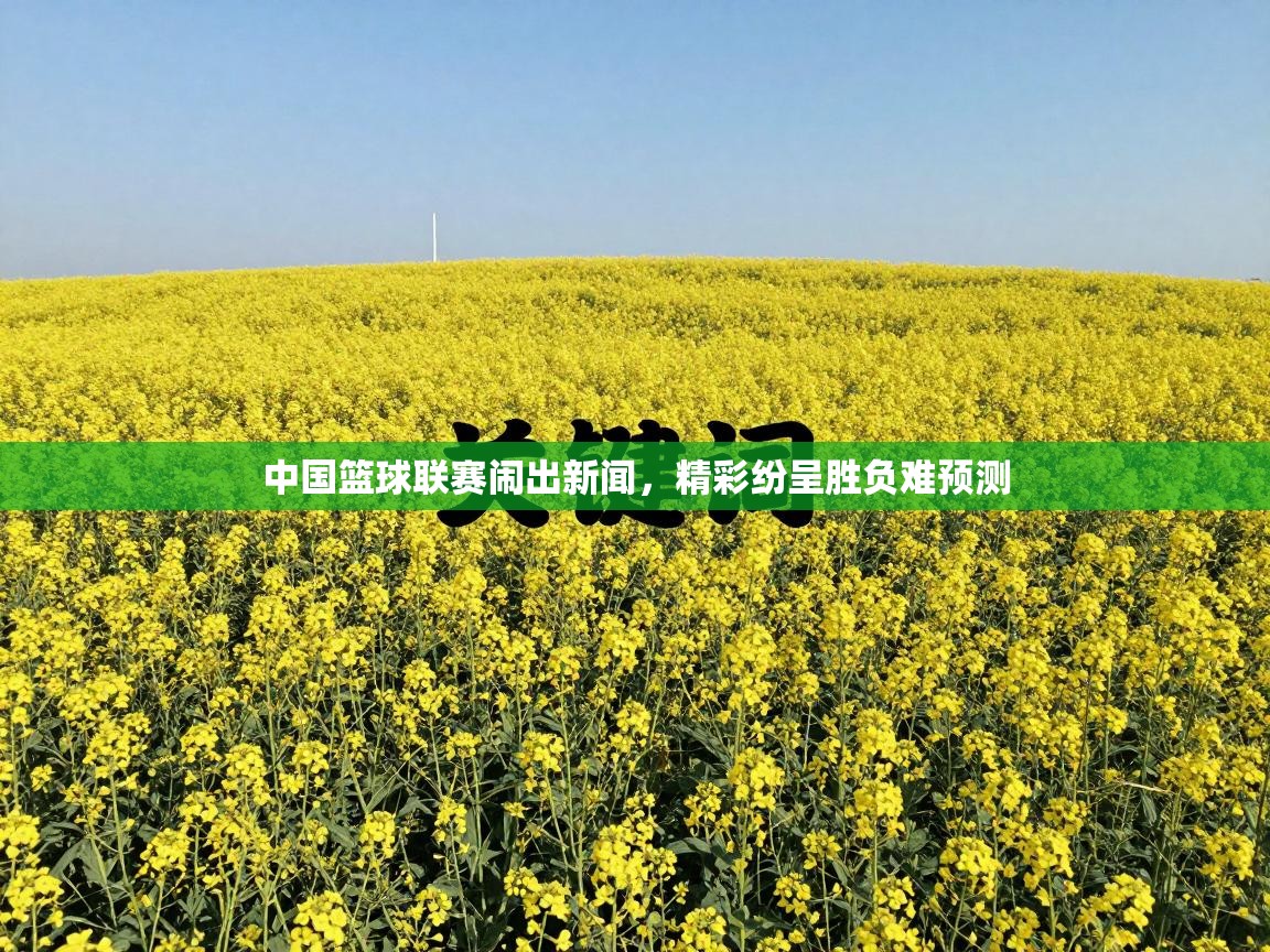 中国篮球联赛闹出新闻,精彩纷呈胜负难预测 第1张