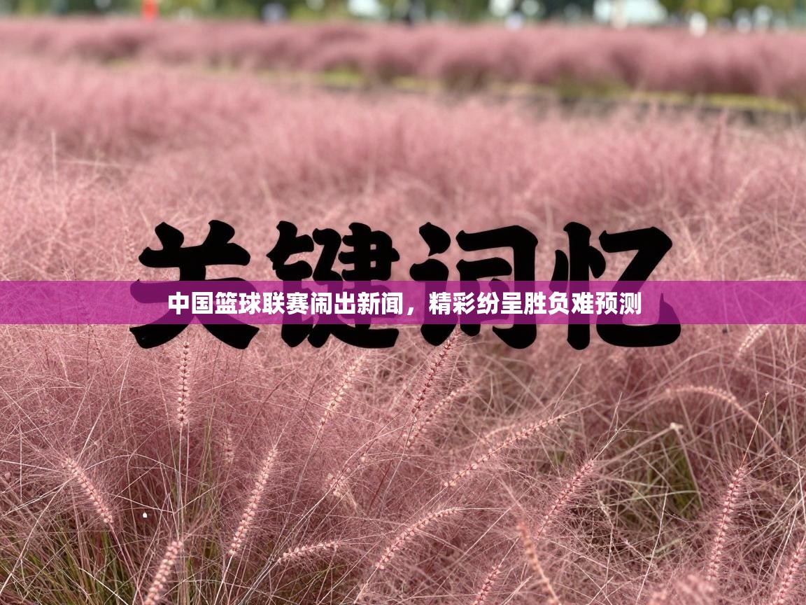 中国篮球联赛闹出新闻,精彩纷呈胜负难预测 第2张